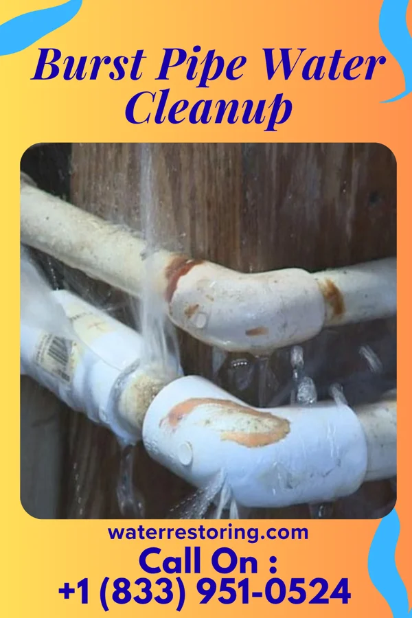 Burst Pipe Water Cleanup in Maytown, KY