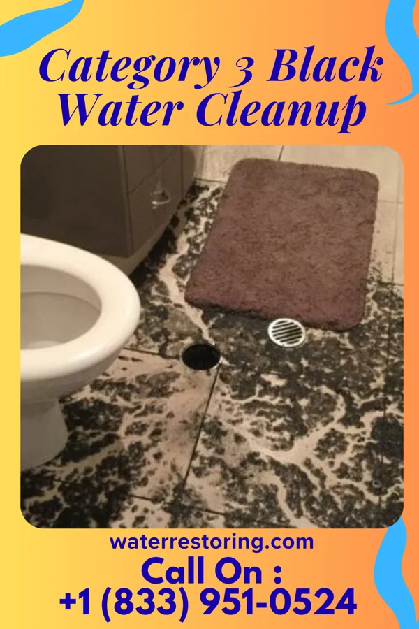 Category 3 Black Water Cleanup in Maytown, KY