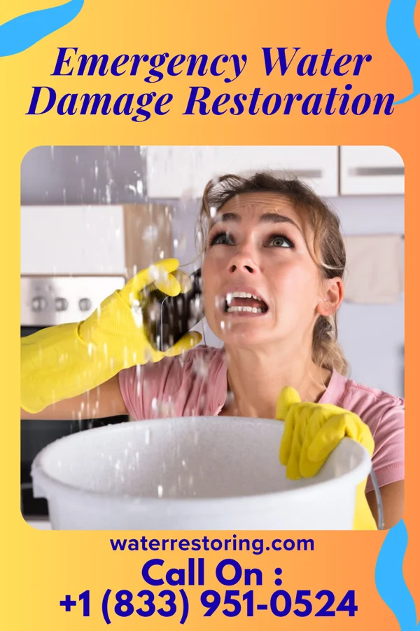 Emergency Water Damage Restoration in Maytown, KY