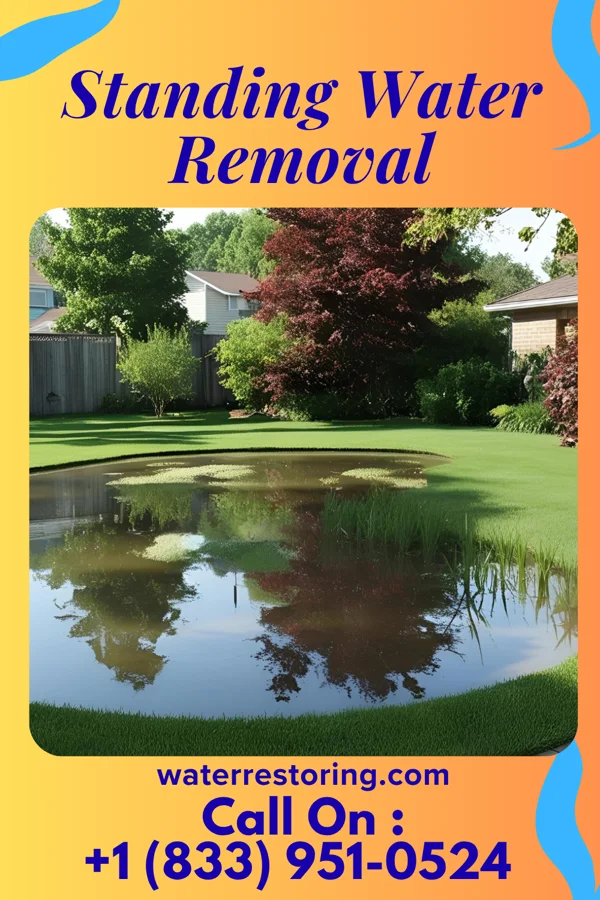 Standing Water Removal in Maytown, KY
